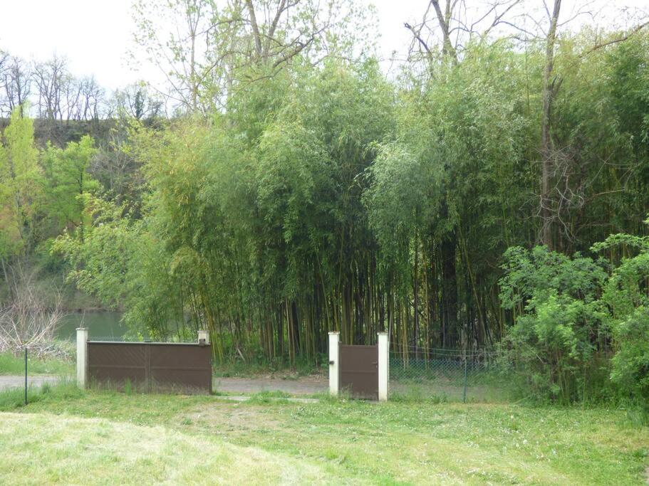 Gite O Fil Du Tarn Lescure-dʼAlbigeois Buitenkant foto