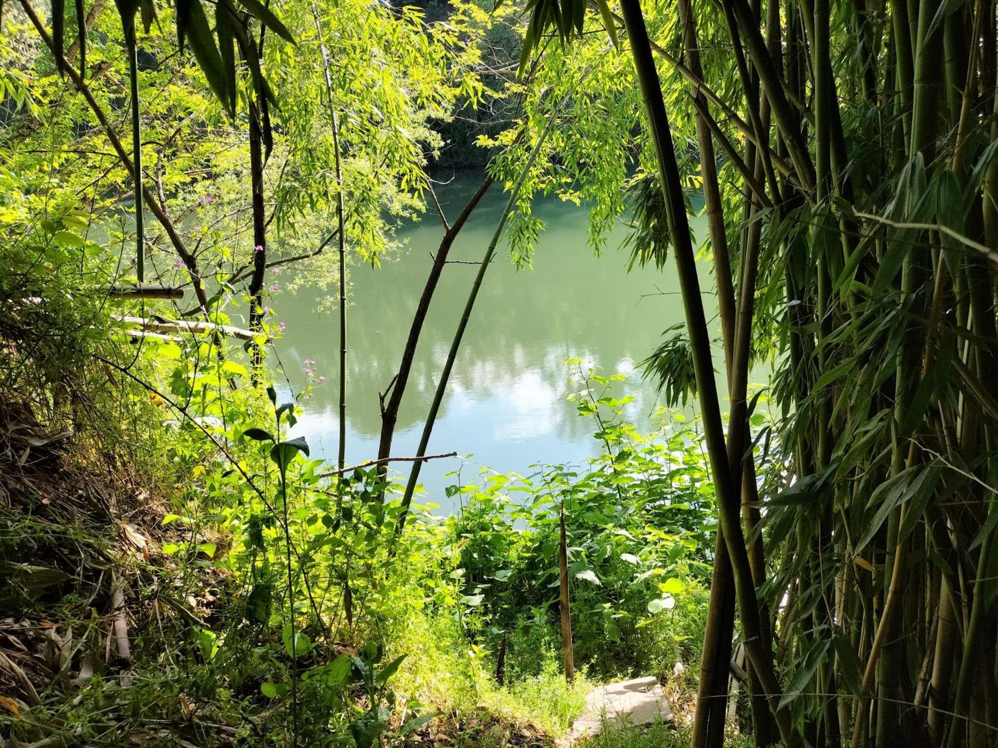 Gite O Fil Du Tarn Lescure-dʼAlbigeois Buitenkant foto